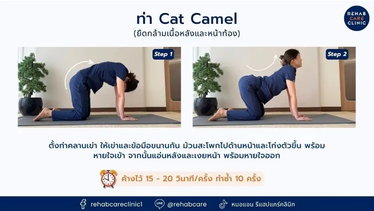 ท่าแมวและอูฐ